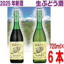 【2025年11月中旬出荷 予約商品】井筒無添加生ワイン 2025年 720ml 赤3本白3本 計6本イヅツ 生ぶどう酒限定醸造 クール便にて発送井筒ワイン【旧商品名 生にごりワイン】