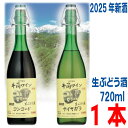 【2025年11月中旬出荷 予約商品】井筒無添加生ワイン 2025 720ml イヅツ 生ぶどう酒限
