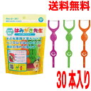 【メール便送料無料】はみがき先生　キッズ用Y字フロス30本入り×1袋　デンタルフロスオカムラ　3歳から12歳（目安）