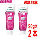 【2本 定形外郵便送料無料】システマ ハグキプラスEX 90g×2本 フッ化ナトリウム1450ppmFSystema ハグキプラス EXシステマ ハグキプラス イーエックスDENT. ライオン歯科材