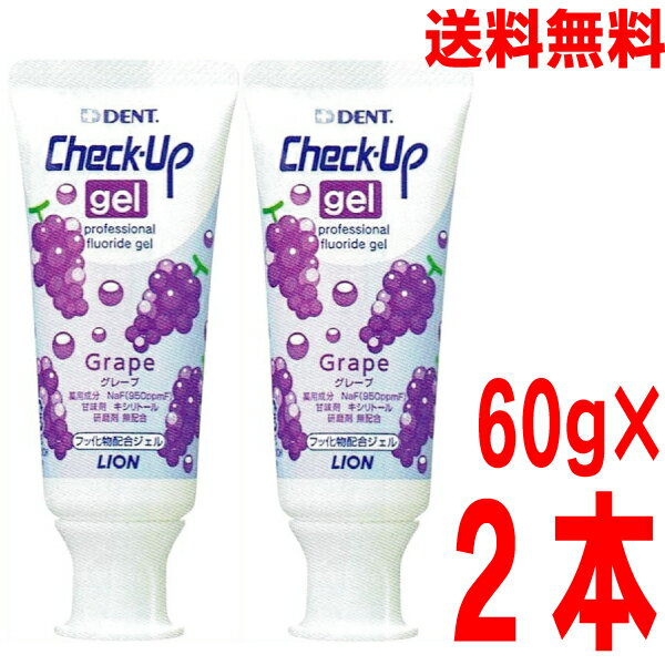 【期間限定セール】【2本メール便送料無料】【ジェルタイプ歯みがき】チェックアップジェルグレープ60g×2本　DENT.Check-Up gelライオンのサムネイル