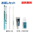 【定形外郵便送料無料】DENTsystema SP-Tお試しセット 歯ブラシ1本（カラーはおまかせ）+ジェル19g+ガーグル20mlライオンデントシステマ