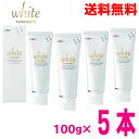 【宅配便5本 本州送料無料】ルシェロ 歯みがきペースト ホワイト100g×5本GC北海道・四国・九州行きは追加送料220円かかります。(4)