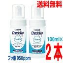 【本州送料無料】チェックアップフォーム　100mL×2本