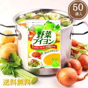 【期間限定】【メール便送料無料】野菜ブイヨン50P 180g (3.6g×50袋) 無添加野菜だし 野菜出汁 コンソメ 化学調味料不使用 化学調味料無添加 無添加 粉末 メール便 離乳食 スープ 動物性原料不使用 無化調 ベジタリアン ヴィーガン ビーガン プラントベース あみ印