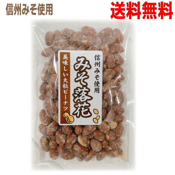 【メール便送料無料】お試し1袋信州みそ使用　みそ落花　170g×1袋　マルシンフーズのサムネイル