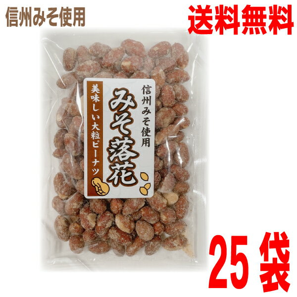 【本州送料無料25袋】信州みそ使用　みそ落花　170g×25袋（1ケース）　マルシンフーズ北海道、九州、四国行は別途送料220円掛かります。