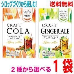 【お試し1袋 メール便送料無料】クラフトコーラスパイスミックス　クラフトジンジャーエールスパイスミックス　35g×1袋ハチ食品ken