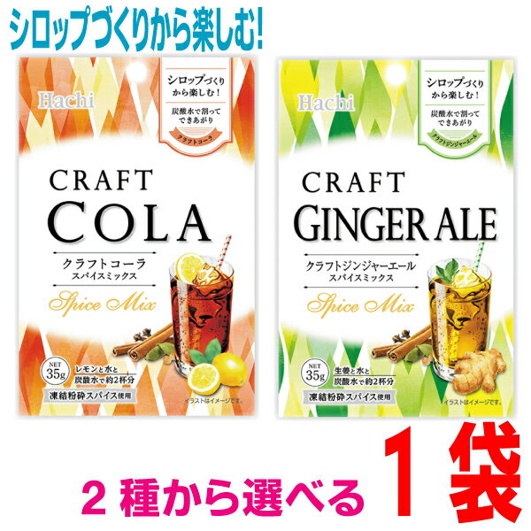 【アウトレット価格　訳あり】【メール便240円OK】クラフトコーラスパイスミックス　クラフトジンジャーエールスパイスミックス　35g×1袋ハチ食品ken