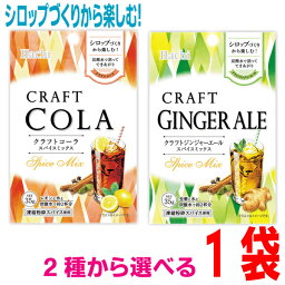 【メール便OK】クラフトコーラスパイスミックス　クラフトジンジャーエールスパイスミックス　35g×1袋ハチ食品ken