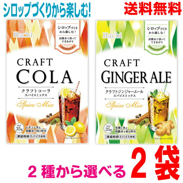 クラフトコーラスパイスミックス　クラフトジンジャーエールスパイスミックス　35g×2袋ハチ食品ken