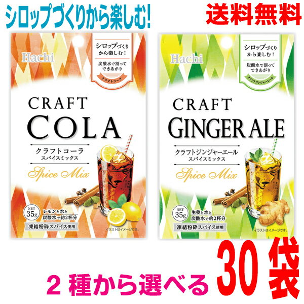 クラフトコーラスパイスミックス　クラフトジンジャーエールスパイスミックス　35g×30袋（1ケース）ハチ食品ken北海道・四国・九州行きは追加送料220円かかります。
