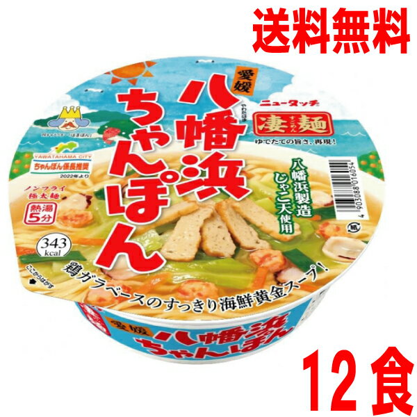 【本州送料無料】凄麺 愛媛八幡浜ちゃんぽんニュータッチ 内容量 119g／めん65g 12個北海道・四国・九州行きは追加送料220円かかります ヤマダイ