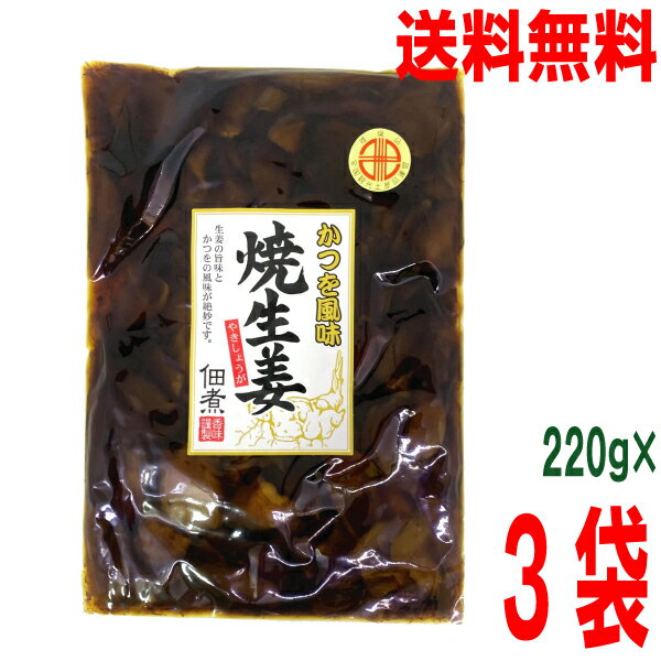 【3袋 メール便送料無料】かつを風味　焼生姜佃煮　220g×3袋　かつお風味　焼き生姜　　はやし