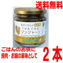 【新発売】【2本　本州送料無料】最高醤　具だくさんのじゃんじゃんジンジャーン　150g× 2本　生姜と葱の万能醤ソース　マルシンフーズ北海道・四国・九州行きは追加送料220円かかります。