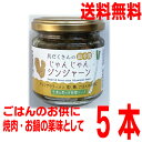 【新発売】【5本　本州送料無料】最高醤　具だくさんのじゃんじゃんジンジャーン　150g× 5本　生姜と葱の万能醤ソース　マルシンフーズ北海道・四国・九州行きは追加送料220円かかります。