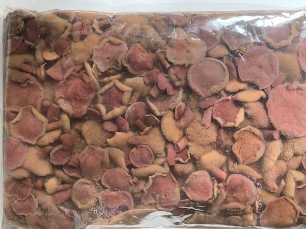 【本州送料無料】業務用 あみ茸水煮S　1kg　石川農産ISK 北海道・四国・九州行きは追加送料220円かかります