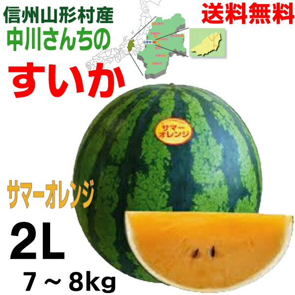 【第1期2024年7月18日頃から発送　予約受付中】【本州送料無料】信州山形村産　中川さんちのすいか　「サマーオレンジ」2L7~8kg北海道・四国・九州宛は送料220円かかります。生産者　中川信隆スイカ西瓜のサムネイル