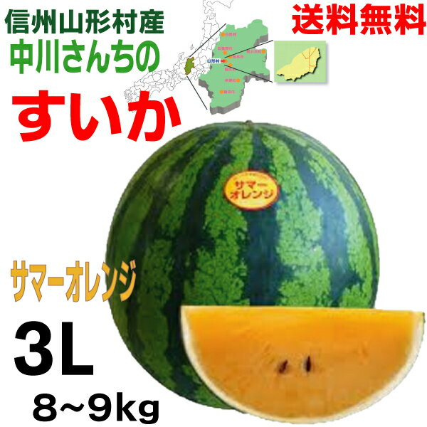 【第1期2024年7月18日頃から発送　予約受付中】【本州送料無料】信州山形村産　中川さんちのすいか　「サマーオレンジ」3L8~9kg北海道・四国・九州宛は送料220円かかります。生産者　中川信隆スイカ西瓜のサムネイル