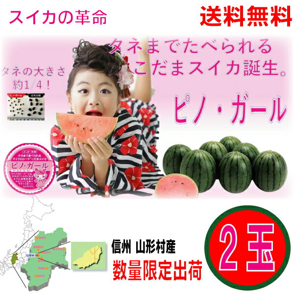 【第3期2025年7月31日頃発送　予約受付中】【本州送料無料】信州山形村産中川さんちのピノガールタネまで食べられるすいか小玉4L2玉（箱入り）1玉当たり約2.5kg～3.2kg北海道・四国・九州宛は送料220円生産者中川信隆スイカ