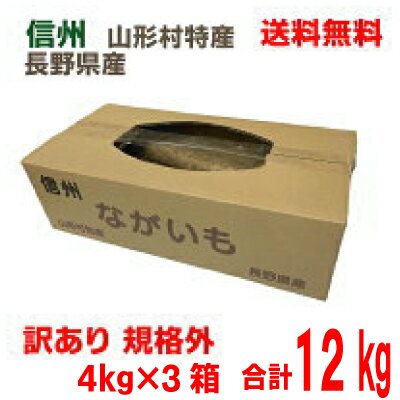 【2025.12月下旬発送　第3回予約商品】【3ケース本州送料無料】信州山形村特産　中川さんちのながいも..