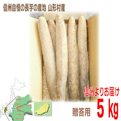 【2023年11月24日頃〜発送　第1回予約受付中】信州山形村特産　ながいも　贈答用　2L・3L　4〜5本程度5kg贈答箱入り　長芋　長いも　山芋とろろ芋に最適！のサムネイル