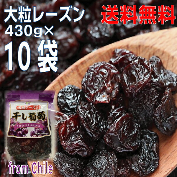 大粒レーズン　430g×10袋　合計4.3kg　干し葡萄　Dried Grapes チャック付きの袋が便利　原料はチリ産北海道・四国・九州行きは追加送料220円かかります。4Kgオーバー！レーズン干しぶどう