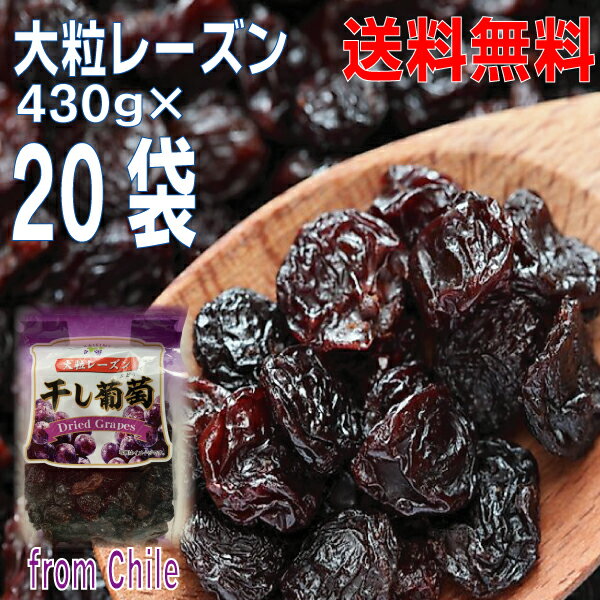 【本州送料無料】大粒レーズン　430g×20袋　合計8.6kg　干し葡萄　Dried Grapes チャック付きの袋が便利　原料はチリ産北海道・四国・九州行きは追加送料220円かかります。8Kgオーバー！レーズン干しぶどう