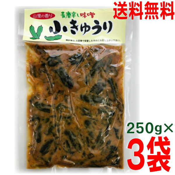 【メール便送料無料】青唐辛し味噌 小きゅうり　250g×3袋　山里の香り　小きゅうりの味噌漬け　ネコポスで発送