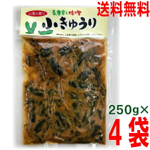 【メール便送料無料】青唐辛し味噌 小きゅうり　250g×4袋　山里の香り　小きゅうりの味噌漬け　ネコポスで発送