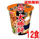 【本州送料無料】 タテロング　池袋大勝軒　みそラーメン　大盛り　12食入り 101g×12個北海道・四国・九州行きは追加送料220円かかります。エースコック