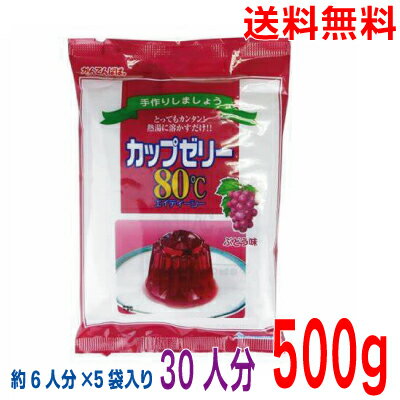 カップゼリー80℃　ぶどう味　かんてんぱぱ100g×5袋　500g　寒天ゼリーの素　北海道・四国・九州行きは追加送料220円かかります。conグレープゼリー