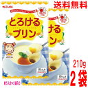 【メール便送料無料】とろけるプリン 210g×2袋 1パック(5人分×2袋)×2袋 カラメルシロップ付 かんてんぱぱ 寒天プリンの素