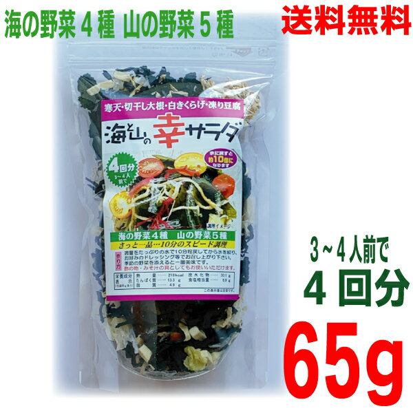 【定形外郵便送料無料】海と山の幸サラダ　65g×1袋　寒天海藻サラダ　マルシンフーズ味噌汁の具としてもおすすめ 1