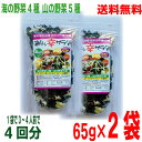 【2袋メール便送料無料】海と山の幸サラダ 65g×2袋 合計130g 寒天海藻サラダ マルシンフーズ 味噌汁の具としてもおすすめpuf