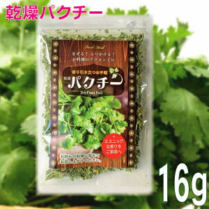 【メール便240円OK】乾燥パクチー　16gチャック付きの袋入り【ドライコリアンダーリーフ　ドライパクチー　スパイス カレー カレー粉 香辛料 ドライハーブ】