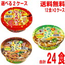 【選べる2ケース】【本州送料無料】ちっこいにゅうめん 醤油仕立て　ちっこいうどん 柚子風味 ちっこいうどん 松茸風味 12食×2ケース合計24食　五木食品　北海道・四国・九州行きは追加送料220円かかります。