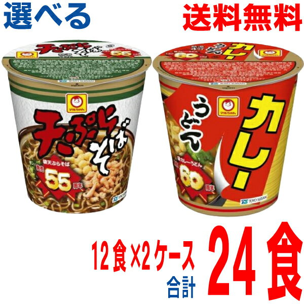 【選べる2ケース本州送料無料】縦型カレーうどん　縦型天ぷらそば　12食×2ケース　合計24食　北海道・四国・九州行きは追加送料220円かかります。マルちゃん東洋水産カップのサムネイル