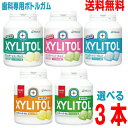 【期間限定】【選べる3本メール便送料無料】歯科専用ボトルガム 3本 キシリトール100%ガム 153g味長続きタイプ キシリトールガム 153gオーラルケア 粒ガム ボトル歯科医院専用オーラルケア ロッテpuf