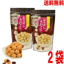 【お試し2袋 メール便送料無料】トーノー レーズンきなこ85g×2袋 東海農産 TONOpuf