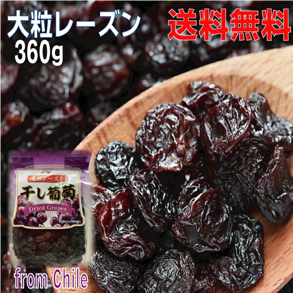 【1袋 本州送料無料】大粒レーズン 360g 干し葡萄 Dried Grapes チャック付きの袋が便利 原料はチリ産北海道・四国・九州行きは追加送料220円か...