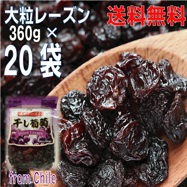 大粒レーズン 360g×20袋 合計7.2kg 1ケース干し葡萄Dried Grapes チャック付きの袋が便利 原料はチリ産北海道・四国・九州行きは追加送料2...