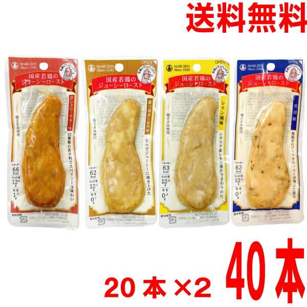 【期間限定】【2ケース40本 本州送料無料】国産若鶏のジューシーロースト　レモン風味 タンドリーチキン味 黒胡椒 濃口醤油と塩胡椒 20本×2ケース　合計40本　丸善 北海道・四国・九州行きは追加送料220円かかります。サラダチキン高タンパク低脂質