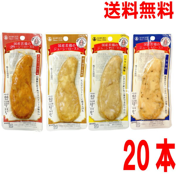 【選べる1ケース20本 本州送料無料】国産若鶏のジューシーロースト　レモン風味 タンドリーチキン味 黒..