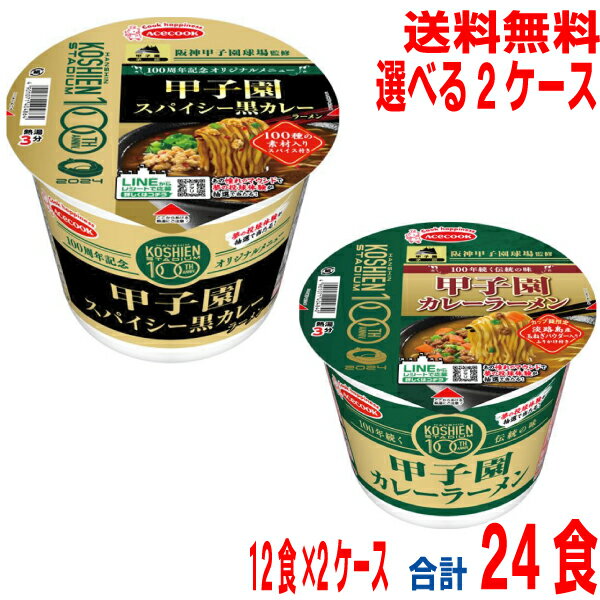 【選べる2ケース 本州送料無料】 阪神甲子園球場監修　甲子園カレーラーメン　阪神甲子園球場監修　甲子園スパイシー黒カレーラーメン　12食入り×2箱 合計24食　北海道・四国・九州行きは追加送料220円エースコックのサムネイル