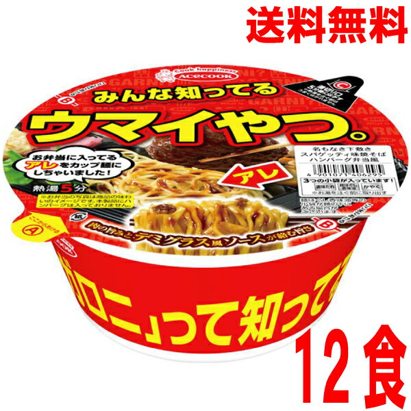 【1ケース本州送料無料】名もなき下敷きスパゲッティ味焼そば　ハンバーグ弁当風12食エースコック北海道・四国・九州行きは追加送料220円かかります。のサムネイル