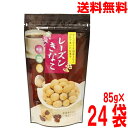 【期間限定】【2ケース24袋本州送料無料】トーノー レーズンきなこ85g×24袋 東海農産 TONO北海道・四国・九州行きは追加送料220円かかります。