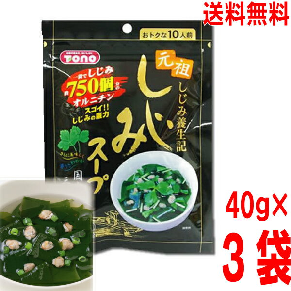 【3袋メール便送料無料】しじみスープ40g（10人前）×3袋　合計120g（30人前）元祖しじみ養生記　東海農産　TONO