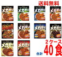 【選べる2ケース】【本州送料無料】選べるメガ盛りシリーズ メガ盛りカレー メガ盛りハヤシ メガ盛りキーマカレー 20食(1ケース)スタンディングパウチ 北海道・四国・九州行きは追加送料220円かかります。ハチ食品ken