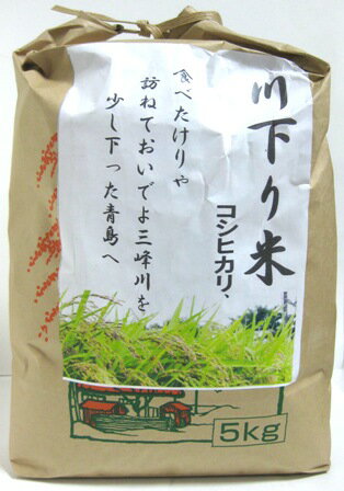 信州長野県伊那　川下り米　コシヒカリ　5kg三峰川水系で育ったおいしいお米